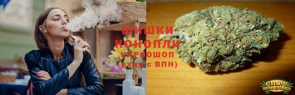 молекула духа Мегион