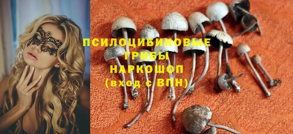 PSILOCYBIN Магас