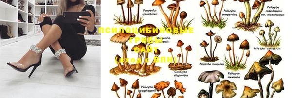герыч Березники