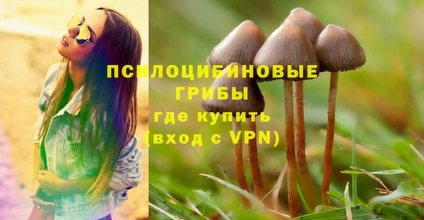 не бодяженный Медногорск