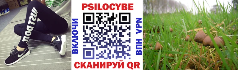 где можно купить   ОМГ ОМГ зеркало  Галлюциногенные грибы Psilocybine cubensis  Электросталь 