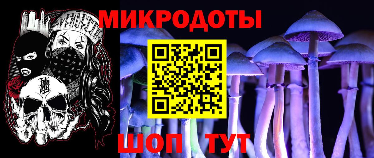 Галлюциногенные грибы Cubensis Электросталь