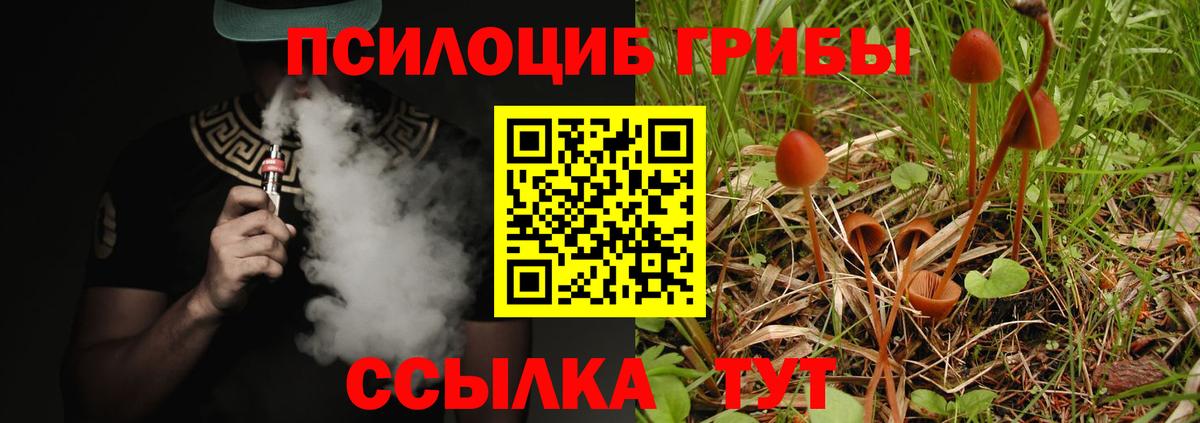 Электросталь  Псилоцибиновые грибы MAGIC MUSHROOMS  Вход с VPN 